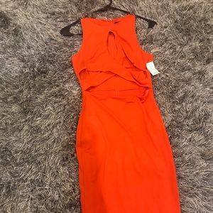 Burnt orange AKIRA dress